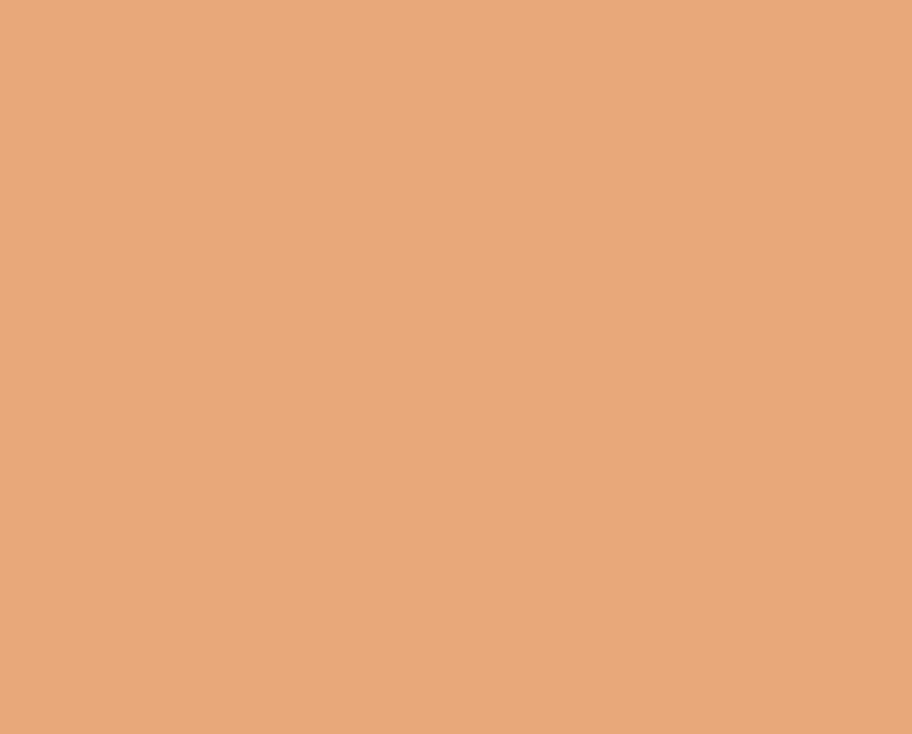 PxLook Long Wear Brightening Concealer