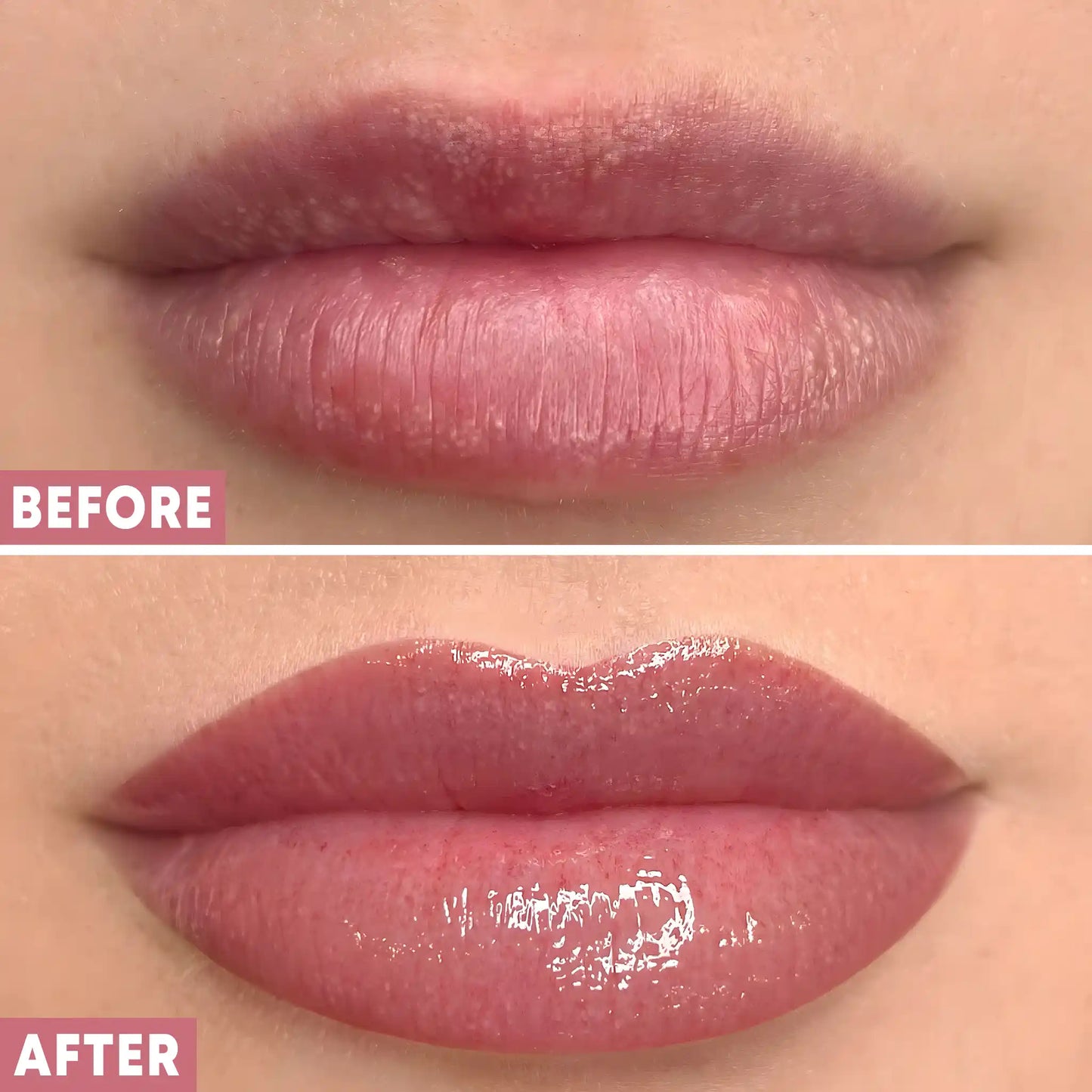 Halloween Lip Gloss, bats, pumpkin, candy corn