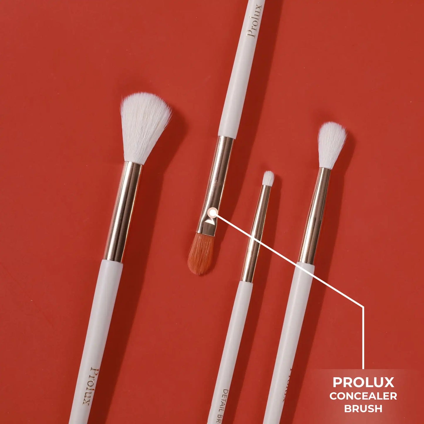Prolux Makeup Concealer Brush, best concealer brush, concealer brush best