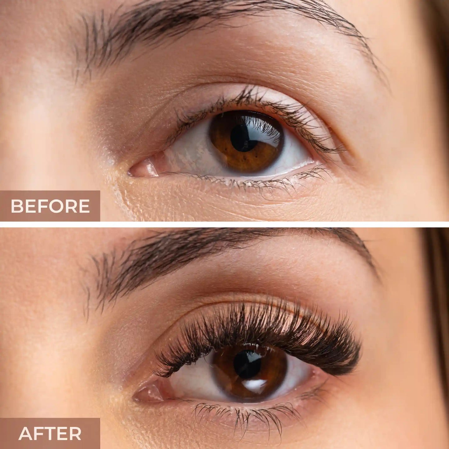 Zodiac Faux Mink Lashes Eyelashes, false eyelashes, lashes eyelashes