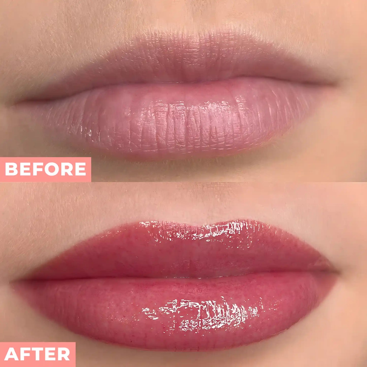 PxLook Cute Lip Gloss, Yellow-Honey Bees, Pink-Lady Bugs, Purple-Butterflies, lip gloss good