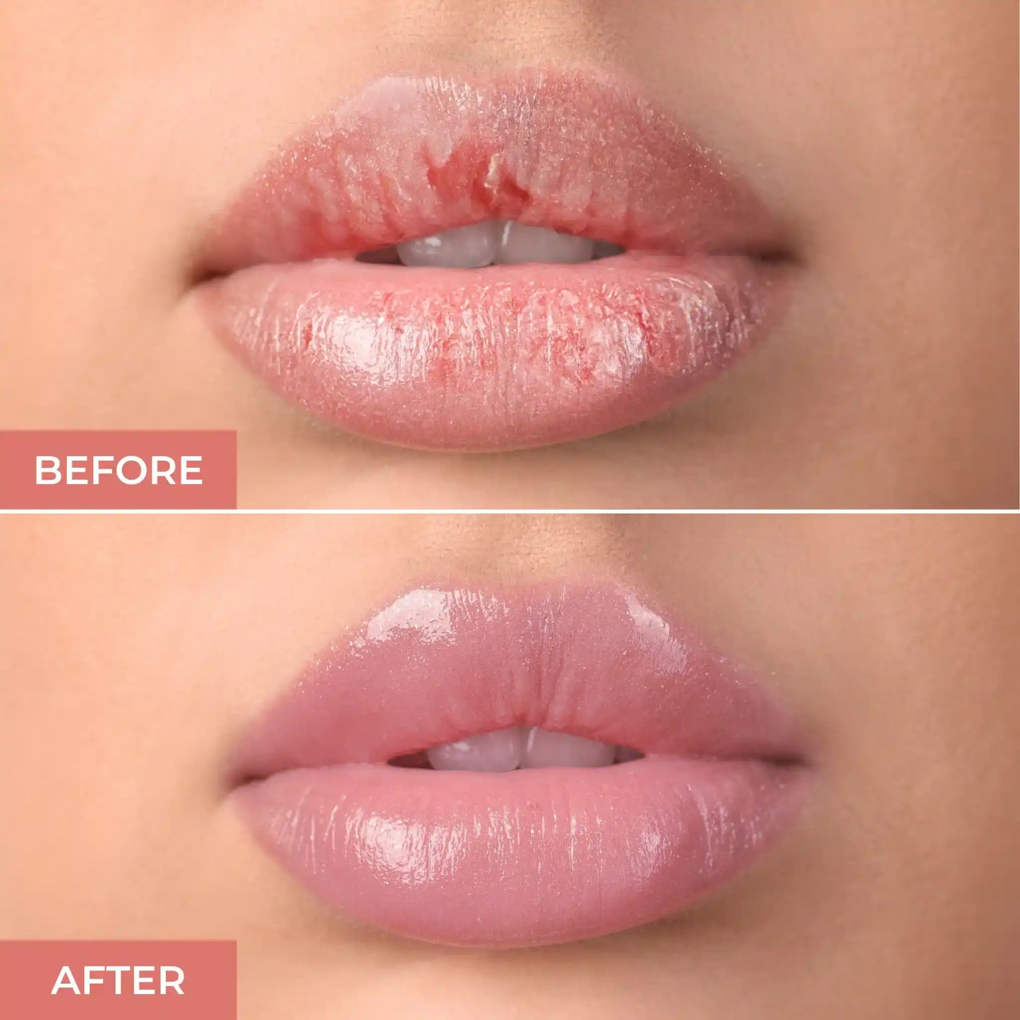 PxLook Hydrating Mouse Lip Balm, best lip balm, best hydrating lip balm