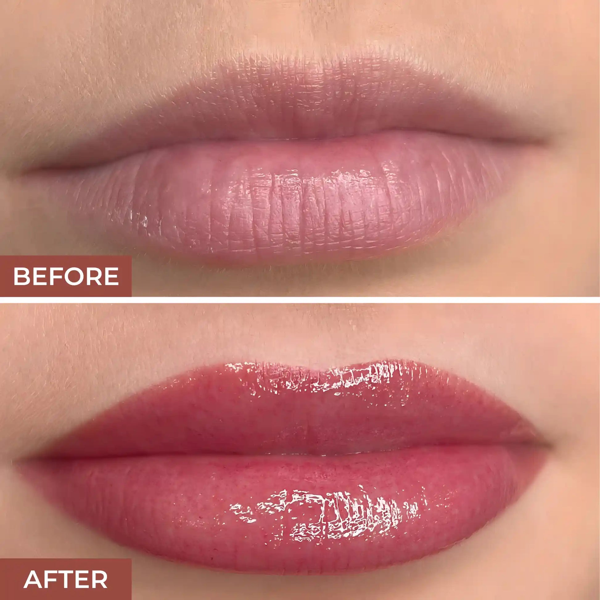 Purrfect Paw Best Lipgloss