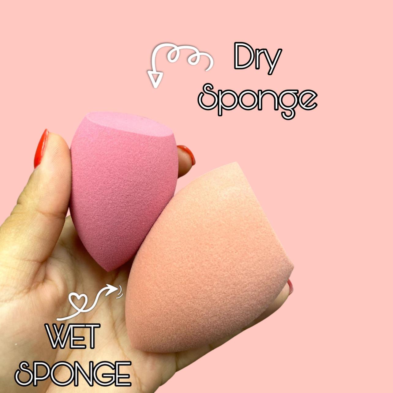 Prolux Blending Sponge Set, makeup sponge set, makeup blending sponge, makeup sponges