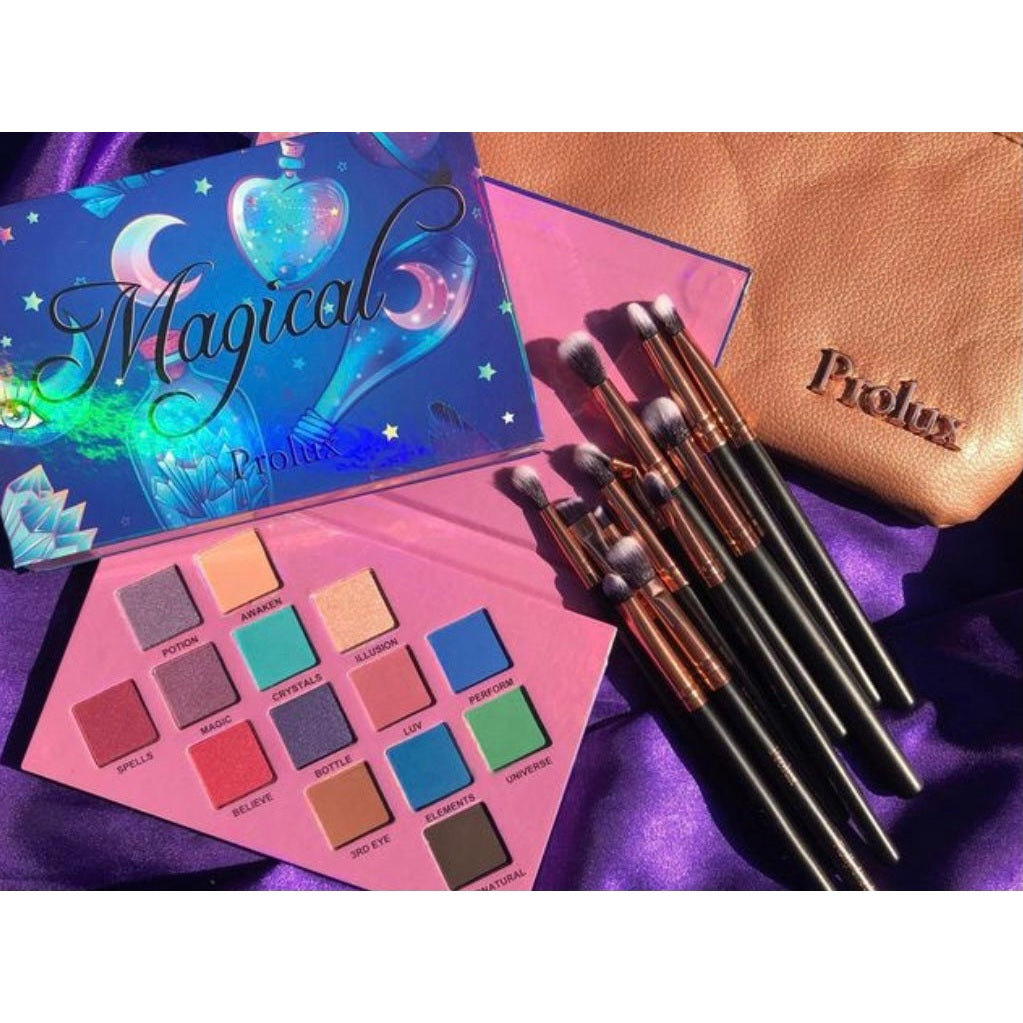 Deluxe 12 Piece Brush Set