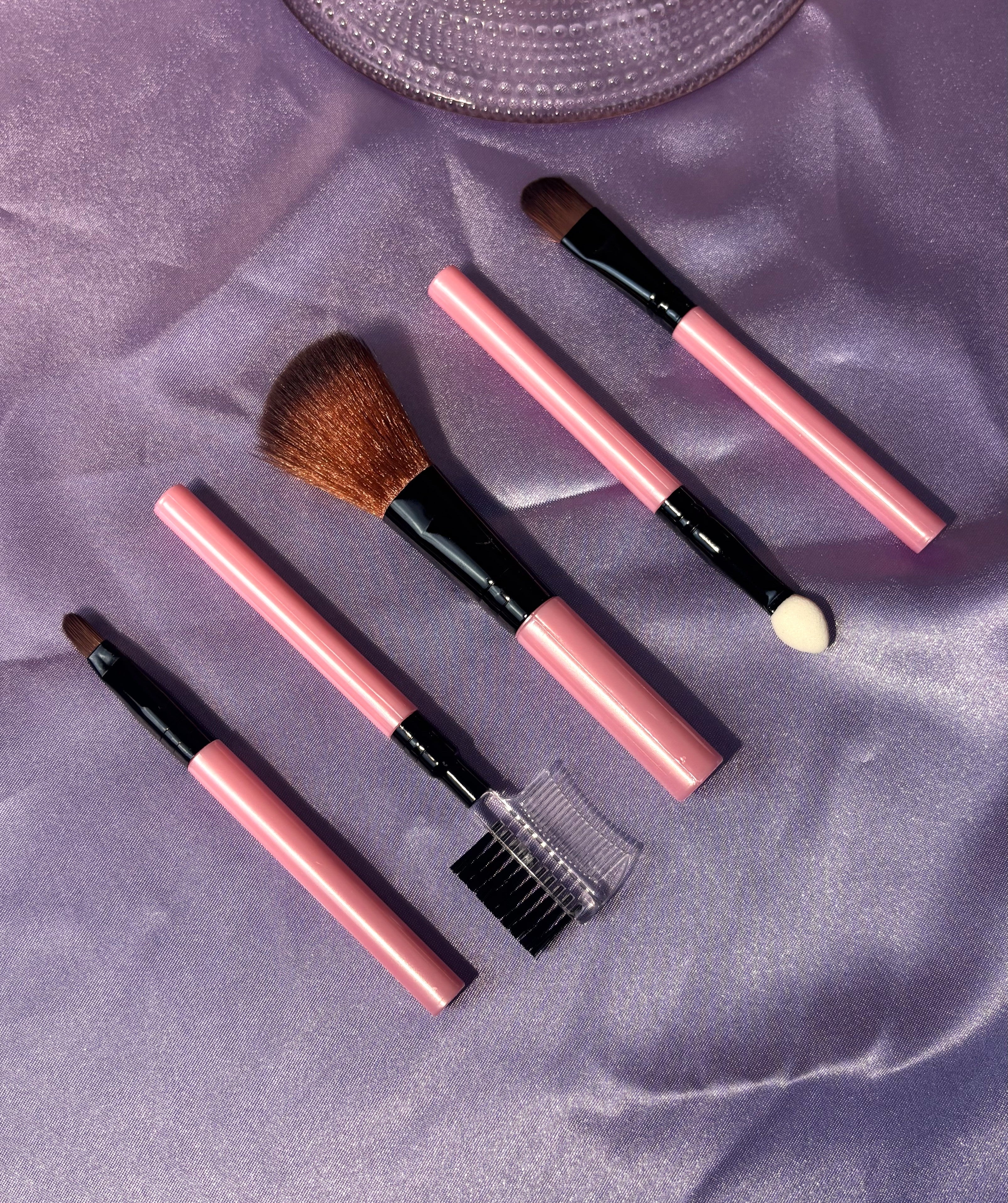 Makeup Brush Set: 5pcs
