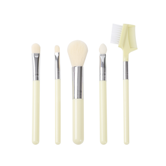 PxLook Makeup Brush 5PCS Set, best makeup brush set​, makeup brush set of 5​