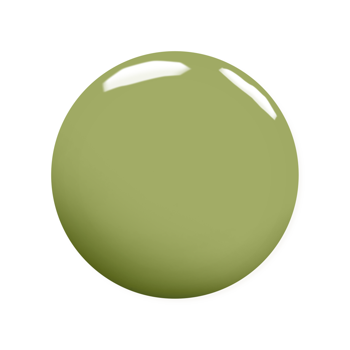 Gurú Ecológico
