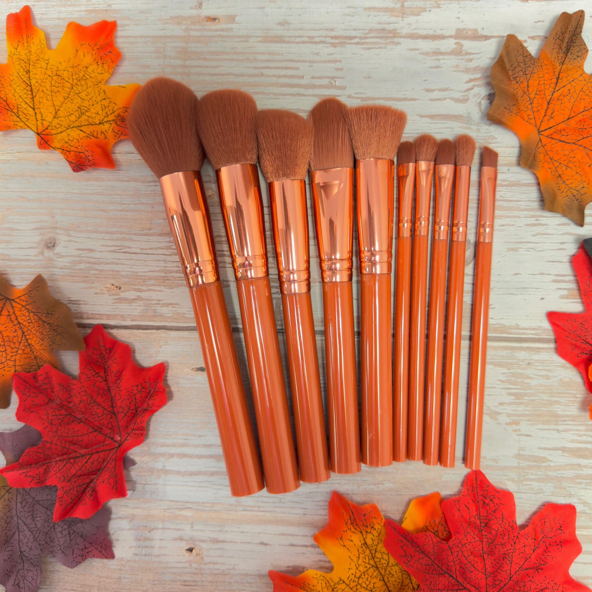 Makeup Brush Set - 10 Piece Makeup Brush Collection, best makeup brush set​