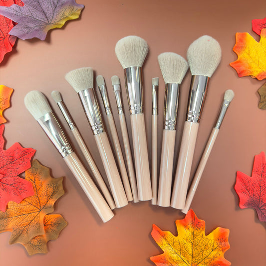 Makeup Brush Set - 10 Piece Makeup Brush Collection, best makeup brush set​
