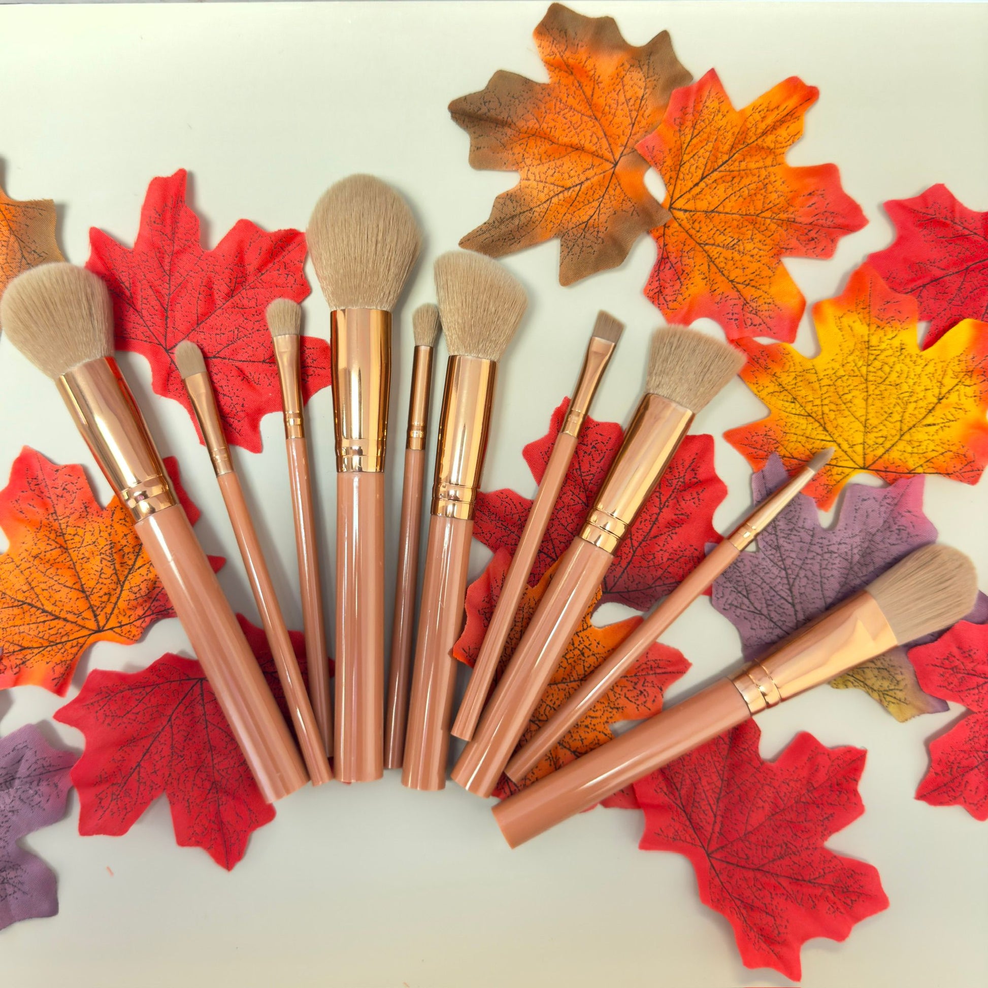 Makeup Brush Set - 10 Piece Makeup Brush Collection, best makeup brush set​