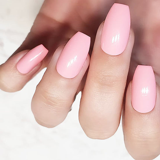Rosa perfecto