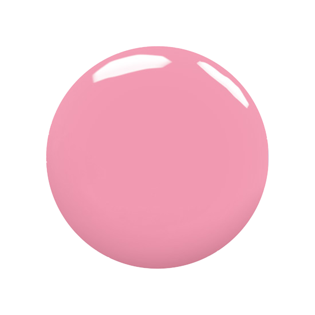 Rosa perfecto