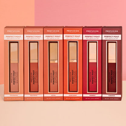 Perfect Pout | Soft Matte Lip Tint, best matte lip tint