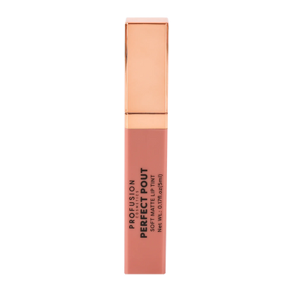 Perfect Pout | Soft Matte Lip Tint, best matte lip tint