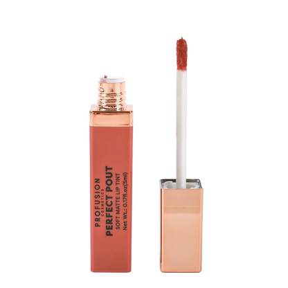 Perfect Pout | Soft Matte Lip Tint, best matte lip tint