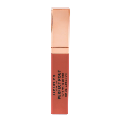 Perfect Pout | Soft Matte Lip Tint, best matte lip tint