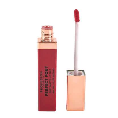 Perfect Pout | Soft Matte Lip Tint, best matte lip tint