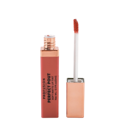 Perfect Pout | Soft Matte Lip Tint, best matte lip tint