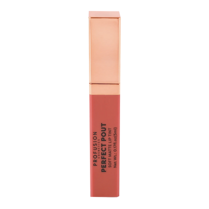 Perfect Pout | Soft Matte Lip Tint, best matte lip tint