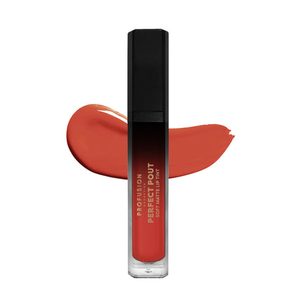 Soft Matte Lip Tint | Perfect Pout