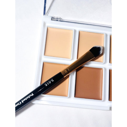 Pointed Concealer Brush